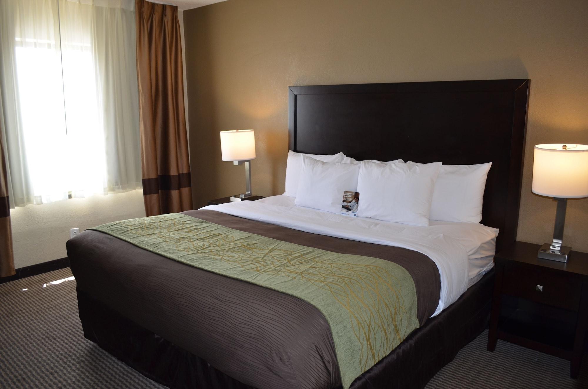 Comfort Inn Downtown Детройт Экстерьер фото