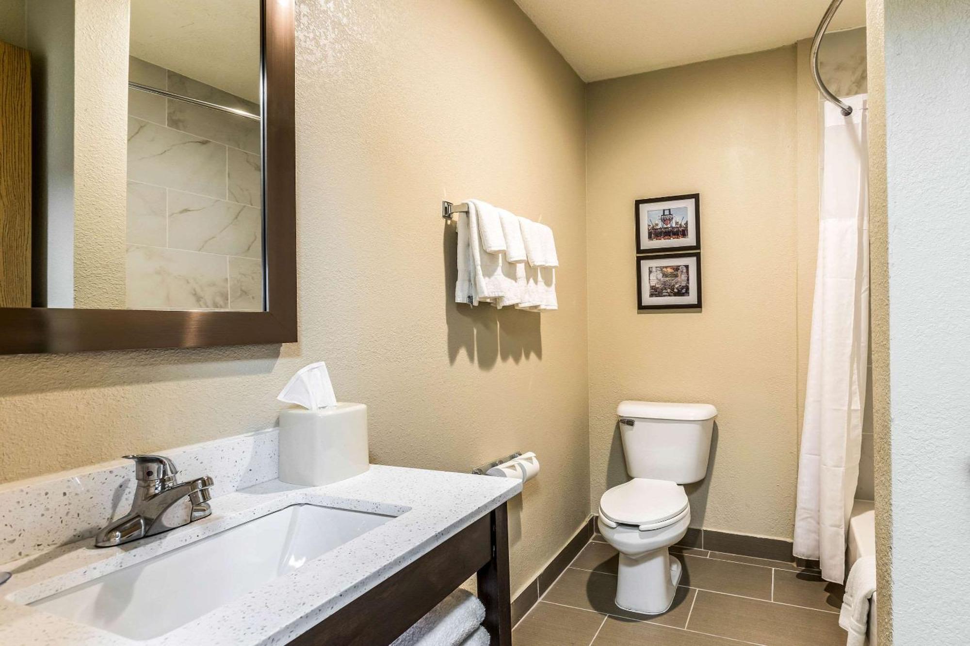 Comfort Inn Downtown Детройт Экстерьер фото