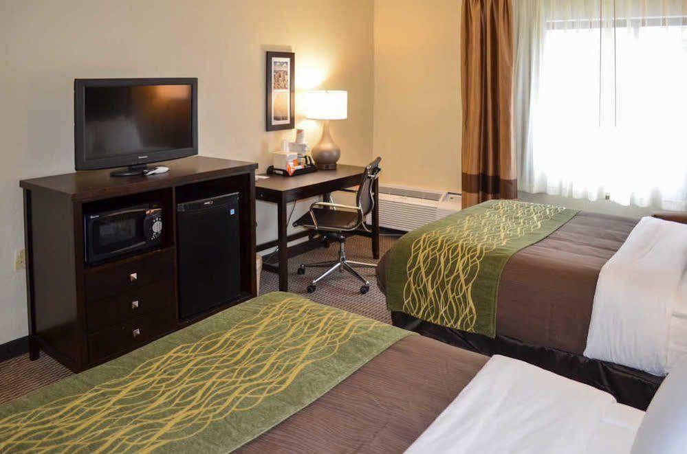 Comfort Inn Downtown Детройт Экстерьер фото